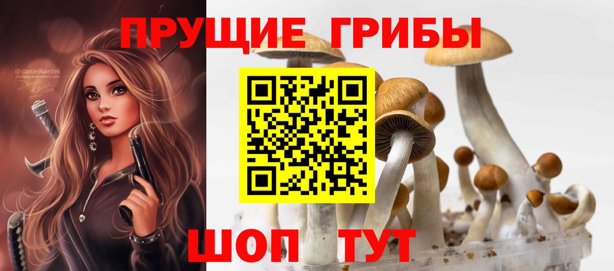 Псилоцибиновые грибы мицелий Кизилюрт